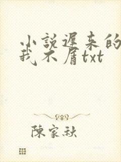 小说迟来的深情我不屑txt