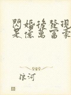 闪婚后发现老公是亿万富豪(小说)