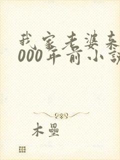 我家老婆来自1000年前小说txt
