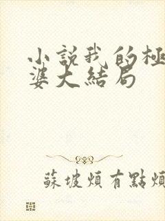 小说我的极品老婆大结局