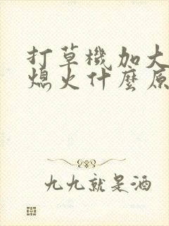 打草机加大油门熄火什么原因