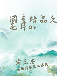 国产精品久久久毛片av