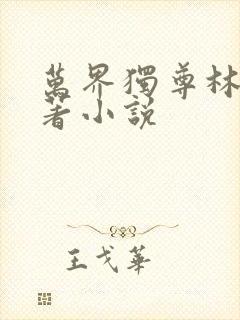 万界独尊林枫原著小说