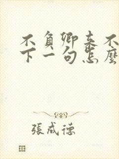 不负卿来不负君下一句怎么接