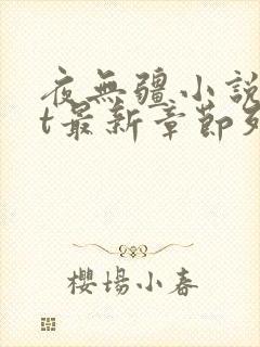 夜无疆小说txt最新章节列表