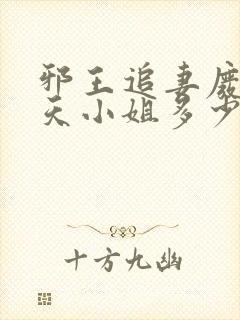 邪王追妻废材逆天小姐多少字