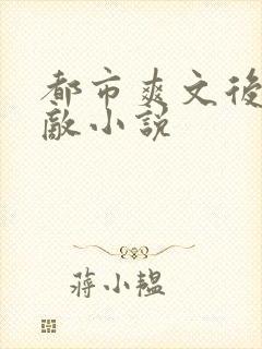 都市爽文后宫无敌小说