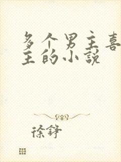 多个男主喜欢女主的小说