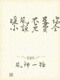 暖风不及你情深小说免费全文阅读