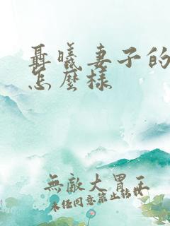 聂曦妻子的结局怎么样