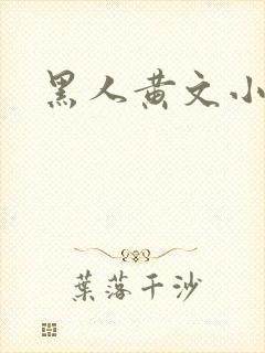 黑人黄文小说