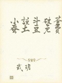 小说斗破苍穹天蚕土豆免费阅读