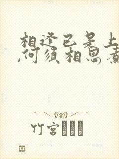 相逢已是上上签,何须相思煮余年出自哪里