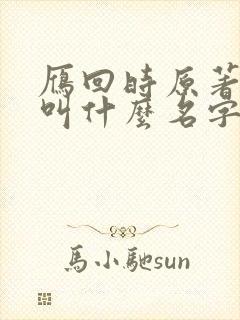 雁回时原著小说叫什么名字