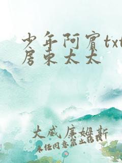 少年阿宾txt房东太太