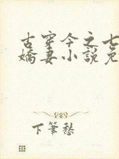古穿今之七零小娇妻小说免费阅读