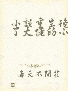 小说重生后我成了大佬的小心肝阅读