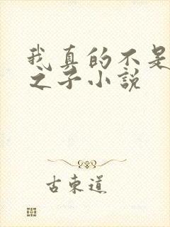 我真的不是气运之子小说