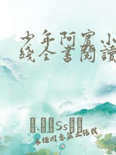 少年阿宾小说在线全书阅读无弹窗免费