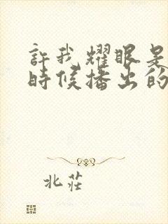 许我耀眼是什么时候播出的