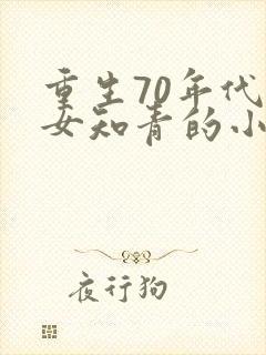 重生70年代娶女知青的小说