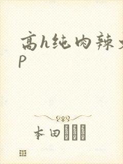 高h纯肉辣文np