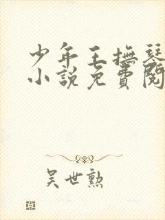 少年王抚琴的人小说免费阅读txt下载