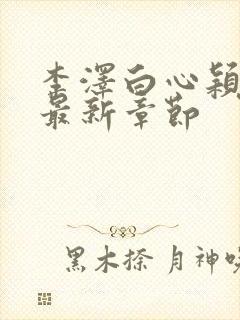 李泽白心颖小说最新章节