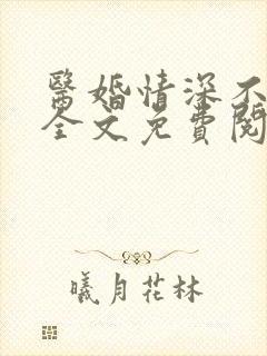 医婚情深不负你全文免费阅读