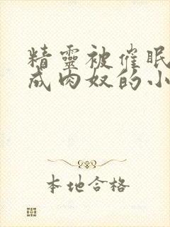 精灵被催眠调教成肉奴的小说