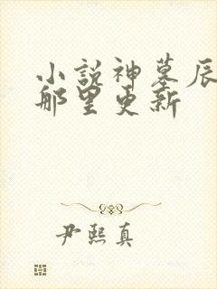 小说神墓辰东在那里更新