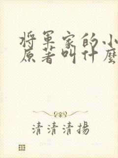 将军家的小娘子原著叫什么