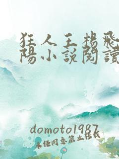 狂人王杨飞秦艳阳小说阅读