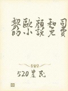 黎欧颜和司夜辰的小说免费阅读