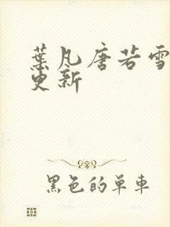 叶凡唐若雪今天更新