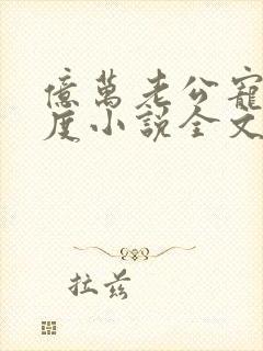 亿万老公宠妻无度小说全文