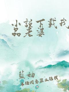 小说下载我的极品老婆