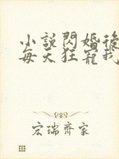 小说闪婚后大叔每天狂宠我免费阅读