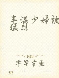 丰满少妇被粗大猛烈