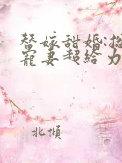 替嫁甜婚:总裁宠妻超给力