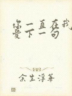 你一直在我一直爱下一句