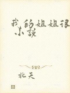 我的姐姐很弟控 小说