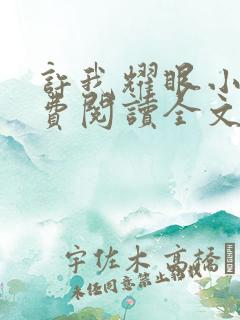 许我耀眼小说免费阅读全文最新章节