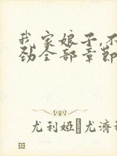 我家娘子,不对劲全部章节