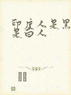 印度人是黑人还是白人