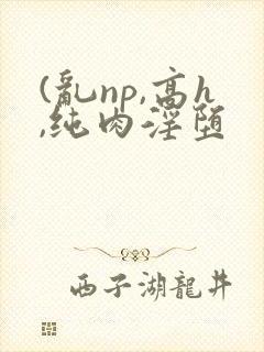 (乱np,高h,纯肉淫堕