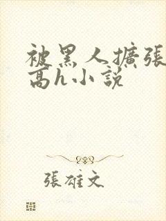 被黑人扩张残虐高h小说