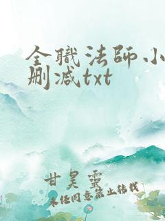 全职法师小说无删减txt
