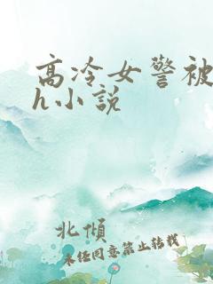 高冷女警被辱高h小说