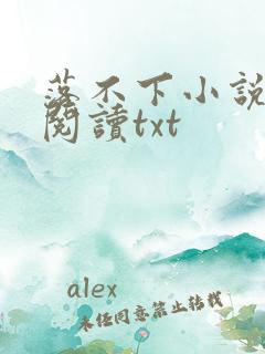 落不下小说全文阅读txt